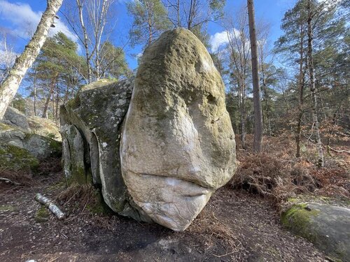 Image of Free Hug (assis) (8a)